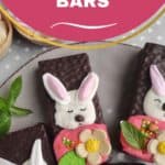 bunny chocolate bars