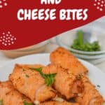 Keto Air Fryer Cajun Turkey and Cheese Bites pin